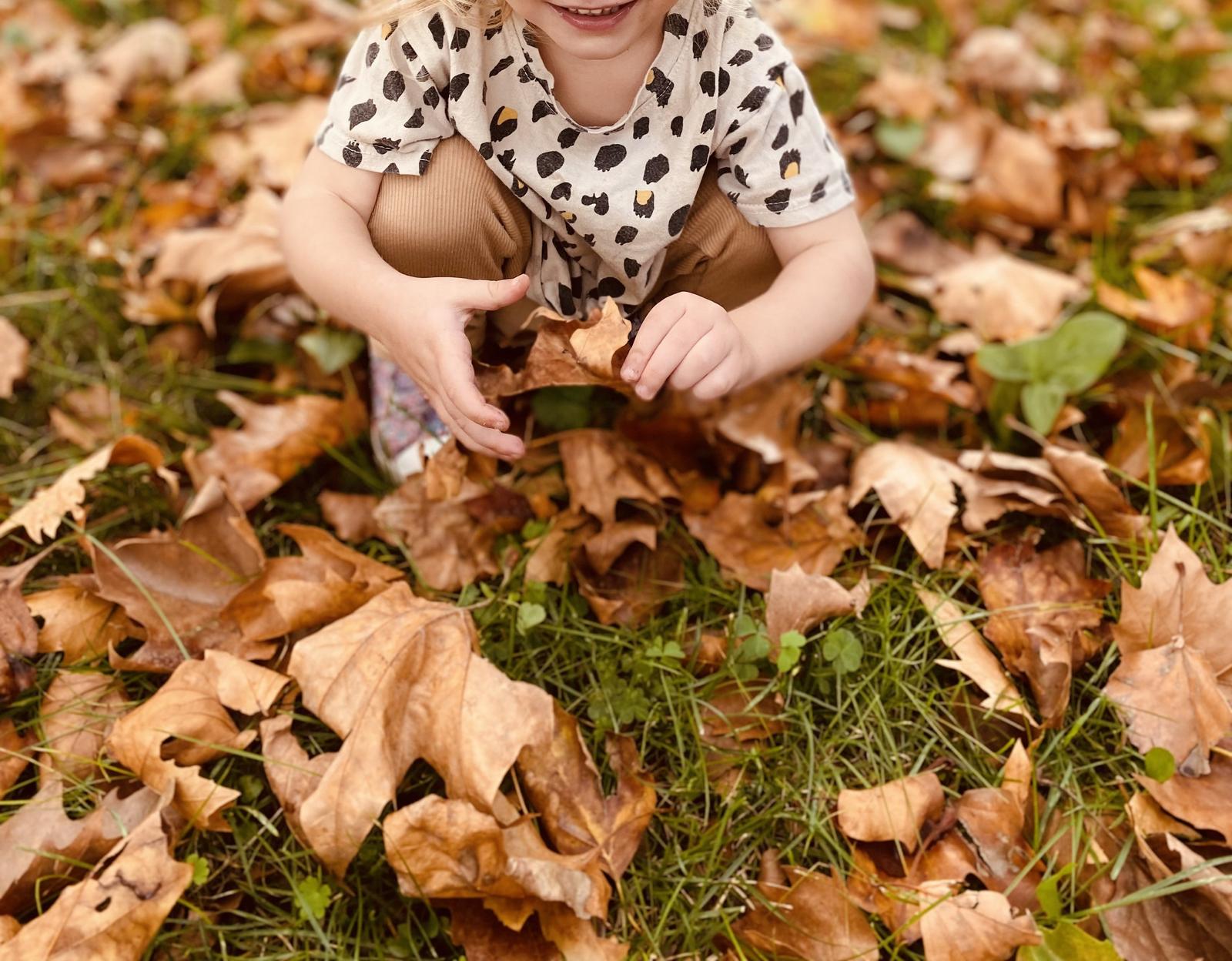 Une petite fille accroupie dans un tapis de feuilles mortes, en pleine sélection de la plus belle feuille
